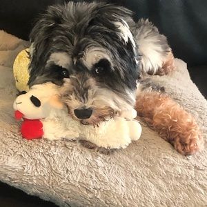 Meet your Posher, Anne